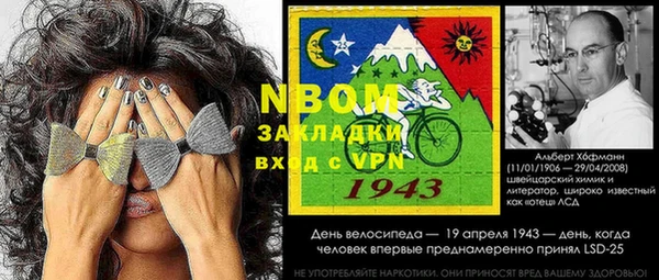 дмт Алзамай