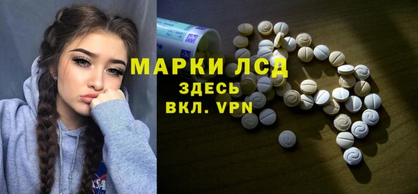 дмт Алзамай