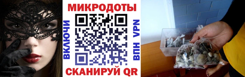 как найти наркотики  Жуковский  Галлюциногенные грибы Psilocybe 
