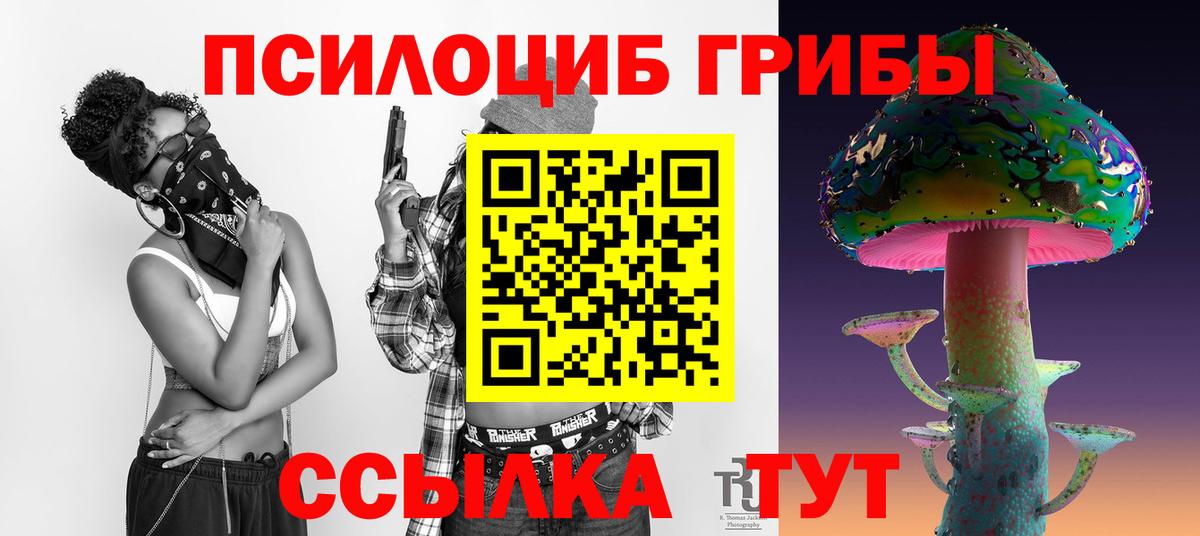Галлюциногенные грибы GOLDEN TEACHER  Вход с VPN  Жуковский 